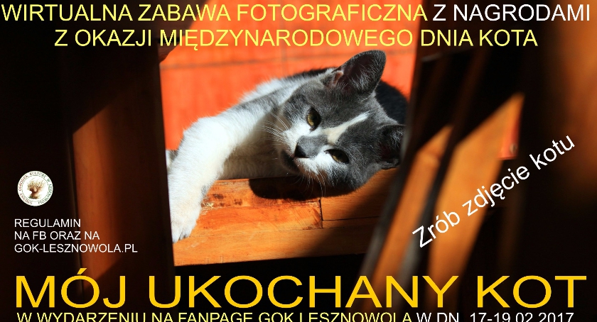 Mój ukochany kot. Zabawa fotograficzna na FB (17/02/2017 - 19/02/2017)
