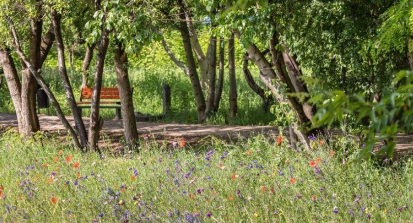 Eko Park w Ursusie jest zwycięzcą konkursu «Warszawa w kwiatach i zieleni» [GALERIA]