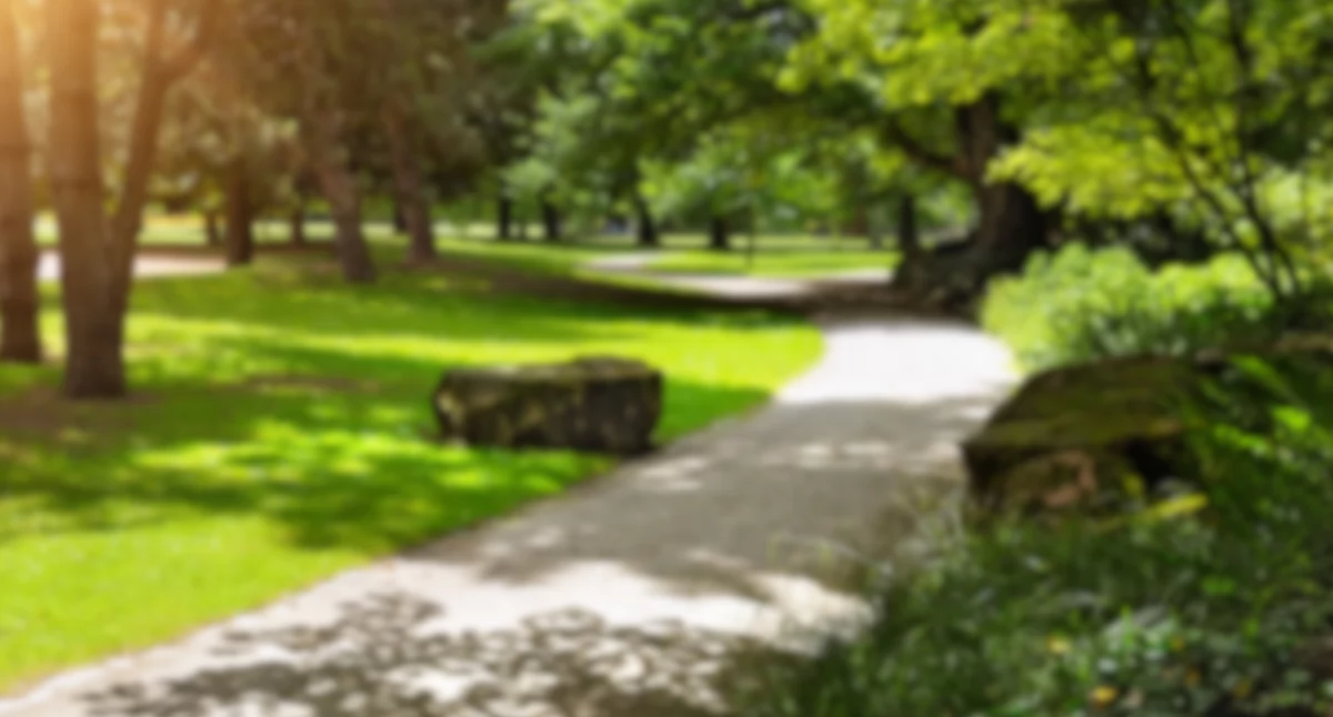 Spór o Eko Park w Ursusie – kontrowersje wokół nowej drogi i ochrony zieleni