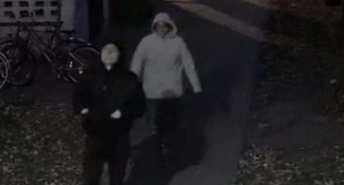Policja prosi o pomoc w identyfikacji osób podejrzanych o uszkodzenie opon samochodu