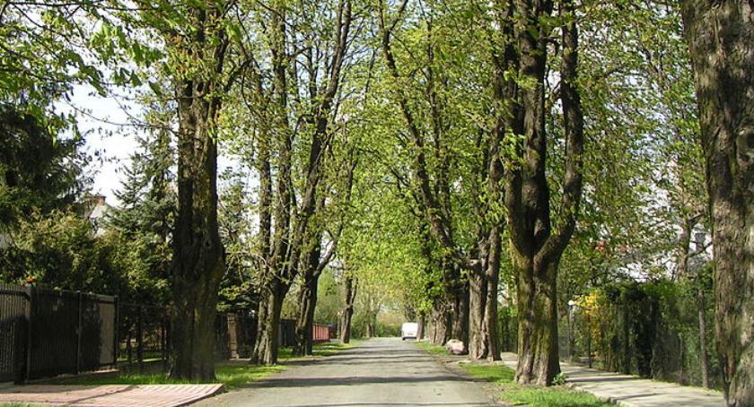 Przeraźliwy krzyk i wołanie o pomoc dziewczyny na Gołąbkach. Gonił ją napastnik z nożem?
