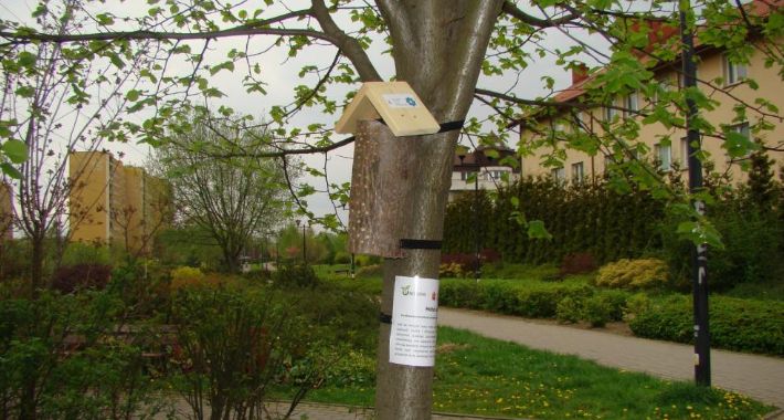 Domki dla skrzydlatych pasiastych przyjaciół w Ursusie