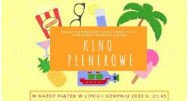 Letnie Kino w Ursusie: Dziewczyna we mgle