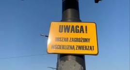 Ursus obszarem zagrożonym wścieklizną
