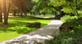 Spór o Eko Park w Ursusie – kontrowersje wokół nowej…