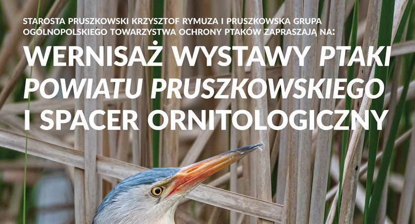 Poznaj ptaki powiatu pruszkowskiego - Powiat Pruszkowski i Pruszkowska Grupa OTOP zaprasza na wernisaż i spacer 