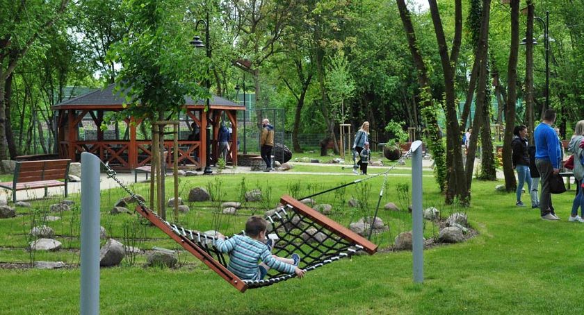 Piknik ekologiczny w zielonym sercu miasta Brwinowa – cóż to było za popołudnie!