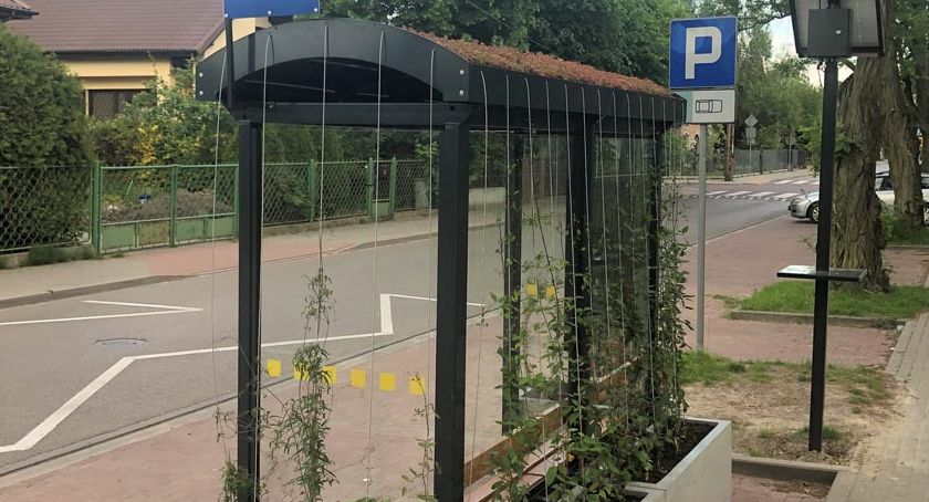 Kolejne zielone przystanki w gminie Brwinów