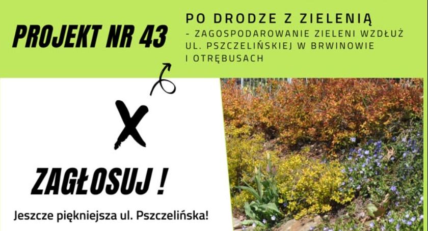 Ładniejsza ulica Pszczelińska w Brwinowie - zagłosuj!