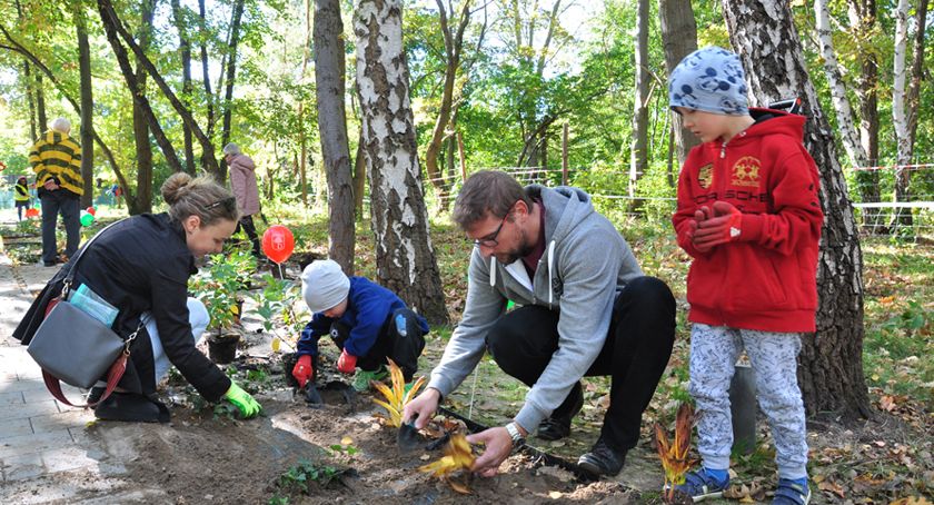 Zielono w brwinowskim Parku Niepodległości