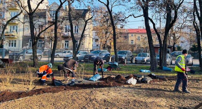 Nowe nasadzenia roślin w Pruszkowskim Parku Kościuszki