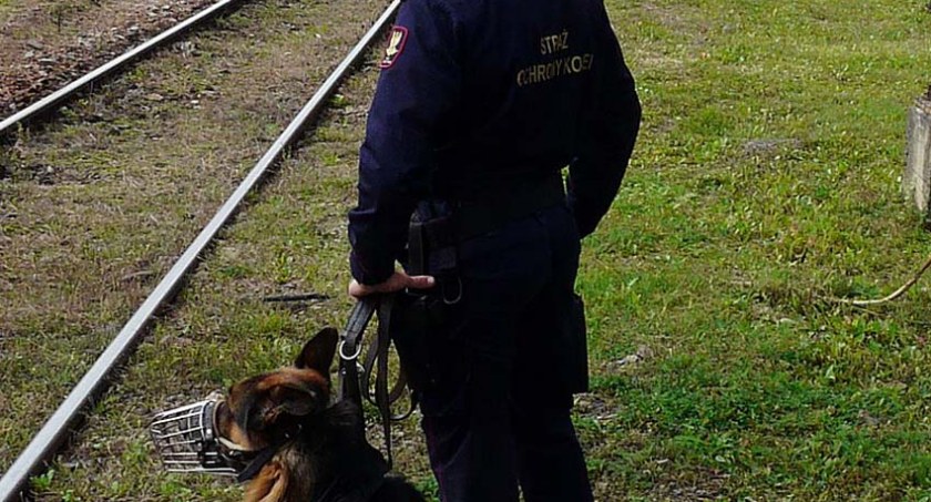 Straż Ochrony Kolei dla bezpieczeństwa dzieci na feriach