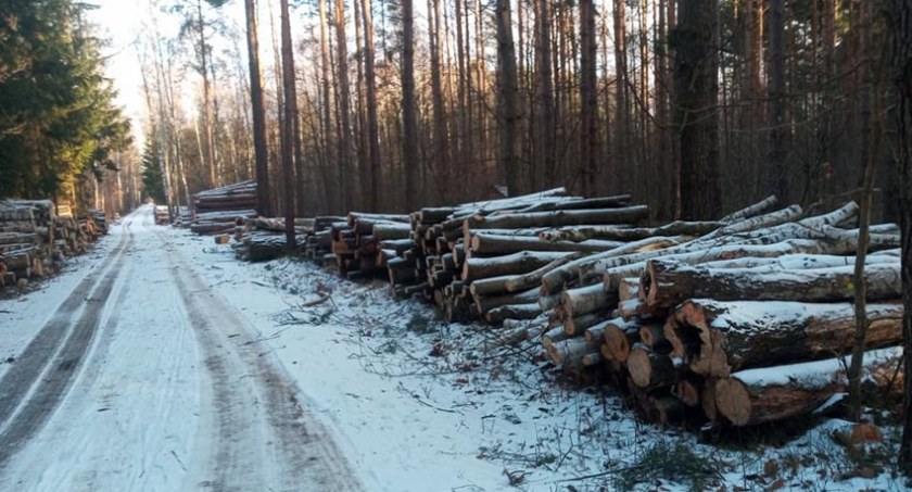 „Młochowszczak” ma coraz więcej obrońców