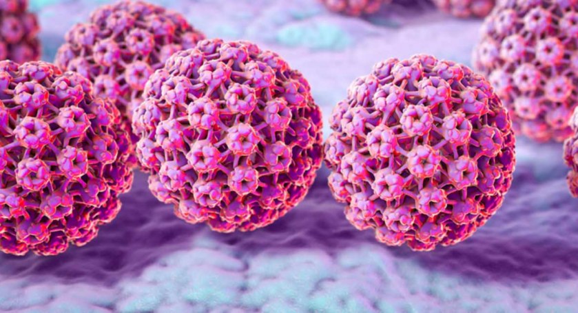 Nie ma na niego lekarstwa, na wakacjach łatwiej się zarazić, czyli 7 faktów o HPV