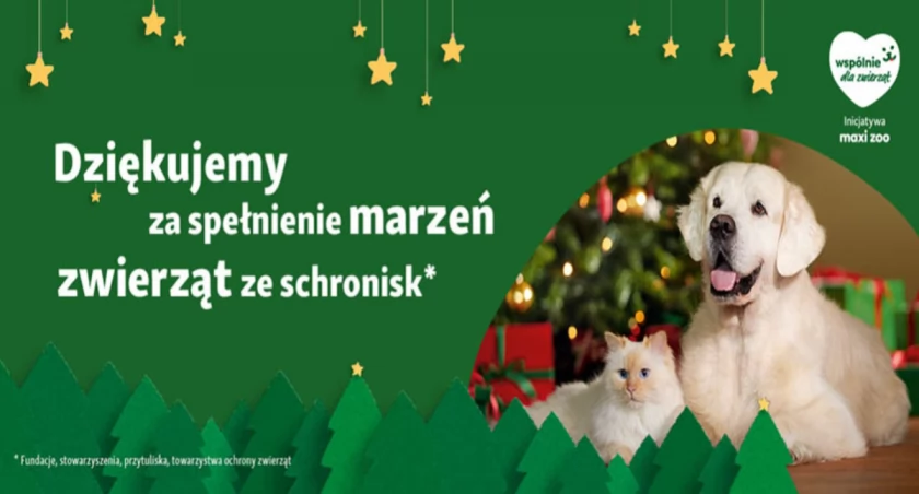„Świąteczna pomoc zwierzętom w potrzebie” - Maxi Zoo podsumowało wyniki ostatniej akcji charytatywnej