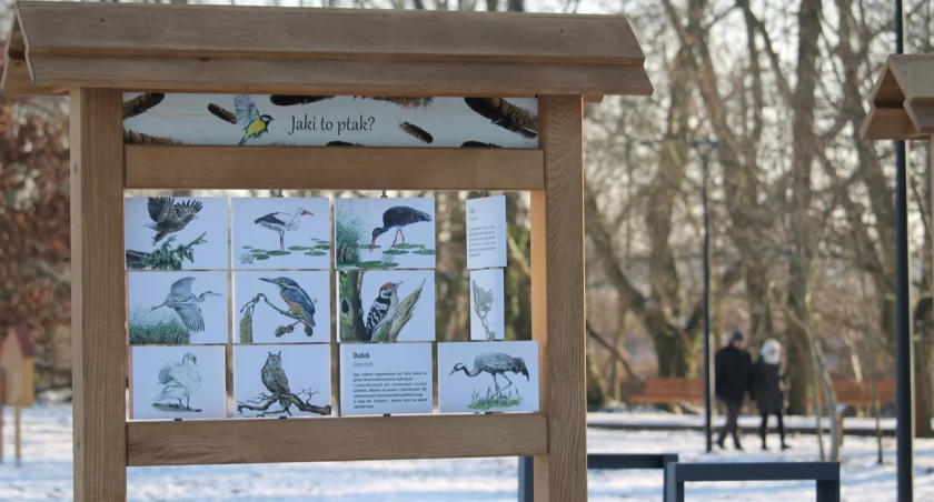 Ścieżka przyrodnicza nad Utratą – aktywna edukacja