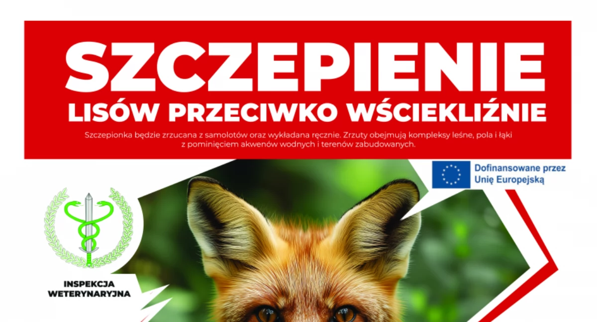 Komunikat gminy Michałowice w sprawie akcji szczepienia lisów wolnożyjących przeciwko wściekliźnie