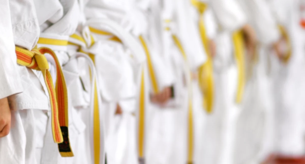 Pruszków mały grant: Mistrzostwa Województwa Mazowieckiego w Karate Tradycyjnym