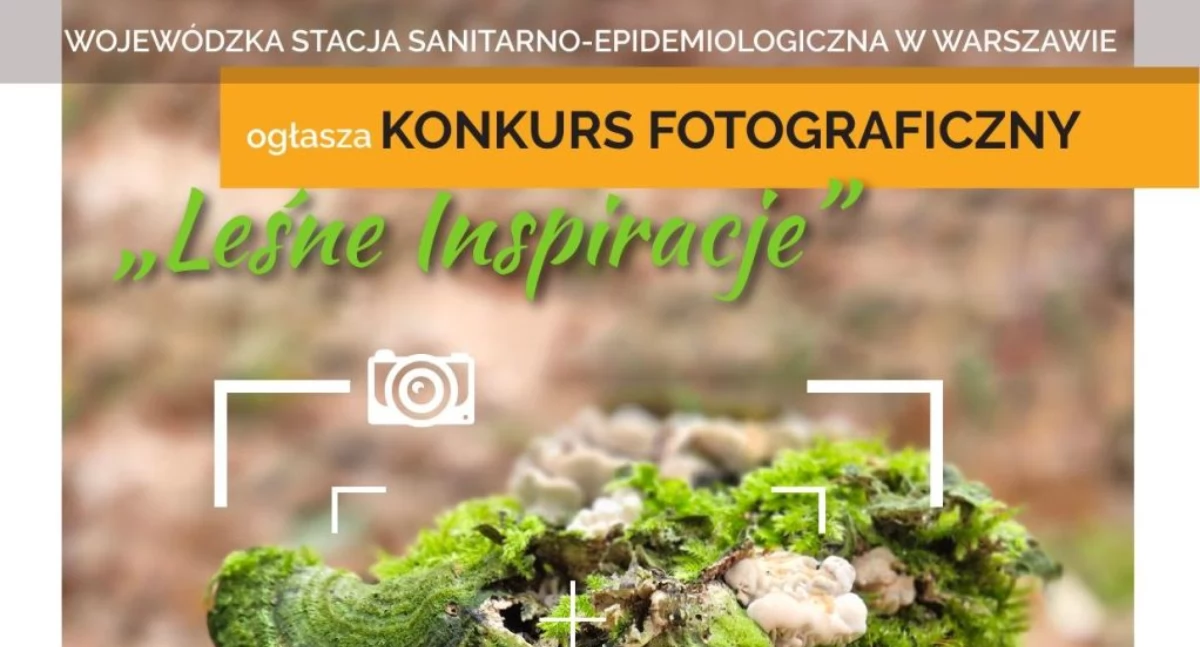 Konkurs fotograficzny „Leśne Inspiracje 2025”