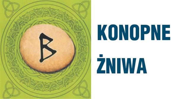 Konopne żniwa w Eko-osadzie Brzozówka