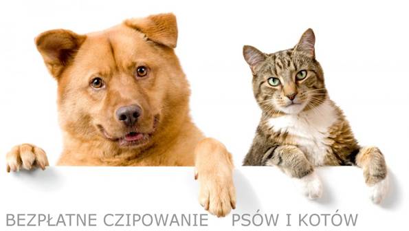 Bezpłatne czipowanie psów w Pruszkowie