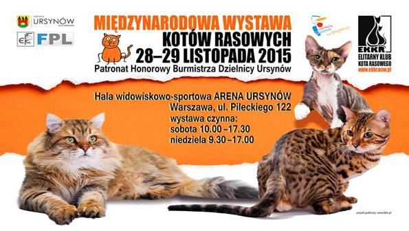 Międzynarodowa Wystawa Kotów Rasowych w Warszawie