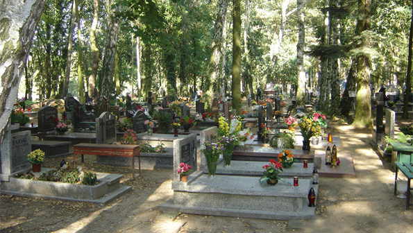 Konsultacje społeczne koncepcji cmentarza w Żółwinie