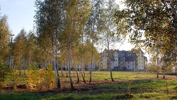 Wyniki konsultacji w sprawie strefy rekreacji w Brwinowie