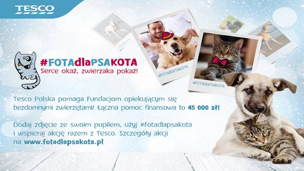 Ruszyła akcja #FOTAdlaPSAKOTA. Razem z Tesco pomagamy zwierzętom przetrwać zimę!