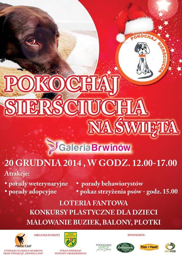 Pokochaj sierściucha na święta w Brwinowie