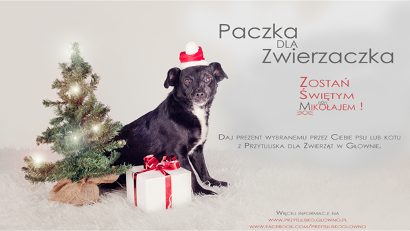 Świąteczna Akcja  „Paczka dla zwierzaczka” - weź udziała nie tylko wirtualnie!