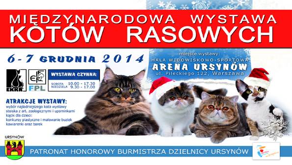 Międzynarodowa Wystawa Kotów Rasowych EKKR