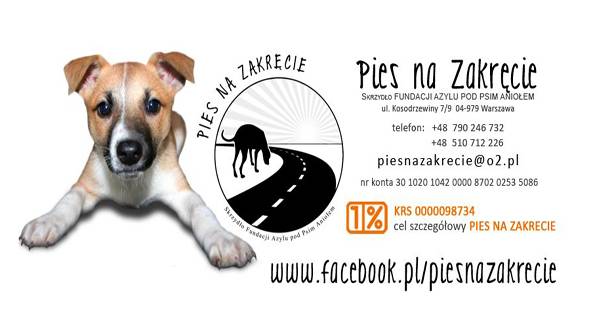 „Pies na zakręcie”
