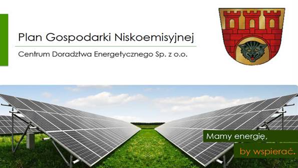 Plan Gospodarki Niskoemisyjnej dla gminy miasta Pruszków 
