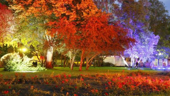 Brwinów wygrał pokaz iluminacji   