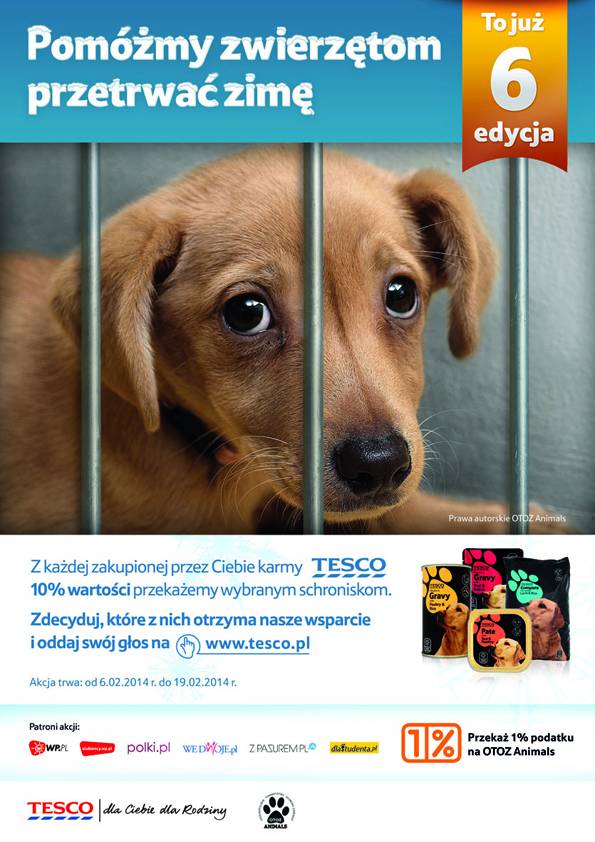 Pomóż zwierzętom z województwa mazowieckiego przetrwać zimę z Animals i Tesco!