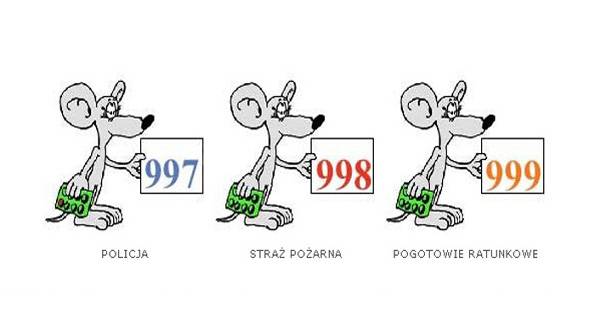 Bezpieczne dziecko w domu i na podwórku
