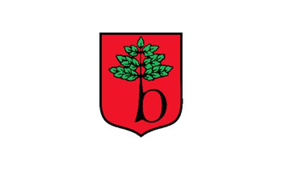 Dotacja na budowę chodnika w ul. Przejazdowej w Otrębusach   
