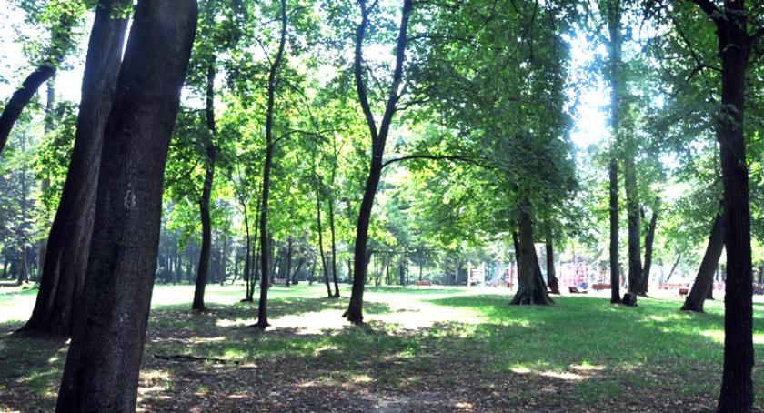 Wykonanie dokumentacji projektowej ogrodu botanicznego w brwinowskim parku