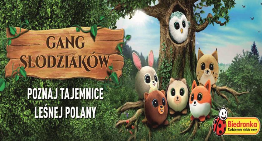 Ponad 6 milionów Słodziaków już cieszy klientów Biedronki