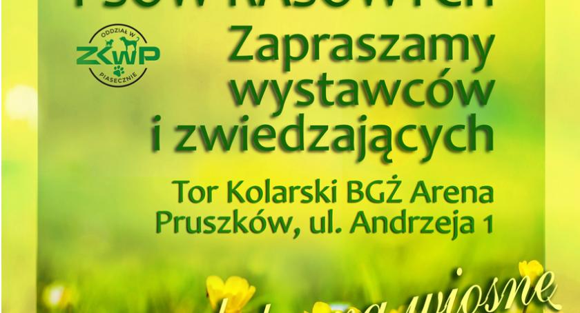 Wystawa psów Pruszków 23-24 marca 2019