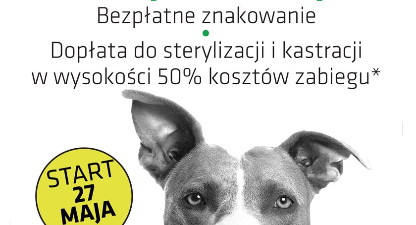 Znakowanie i sterylizacja/kastracja psów i kotów w gminie Michałowice