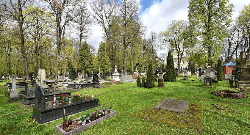 (Nie)zapomniane cmentarze. Połóżmy gałązkę jedliny na opuszczonym grobie