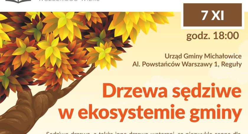 Drzewa sędziwe w ekosystemie gminy Komorów