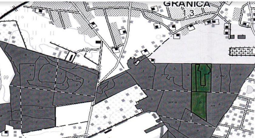 Gmina Michałowice - Pracach Nadleśnictwa Chojnów w Lasach nad Utratą