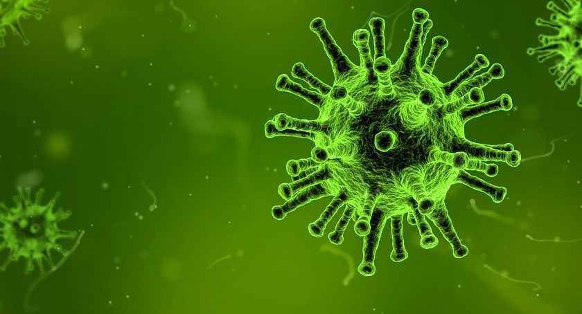 Zawieszenie zajęć w gminie Nadarzyn w związku z możliwą epidemią koronowirusa