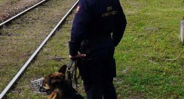 Straż Ochrony Kolei dla bezpieczeństwa dzieci na feriach