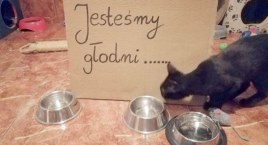 Zwierzęta nie chcą być głodne, a inflacja dobija sch&hellip;