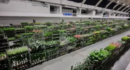 Wiosenna edycja Festiwalu Roślin w Warszawie! 