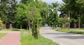 Zmiana organizacji ruchu na ul. 3 Maja w Pruszkowie …